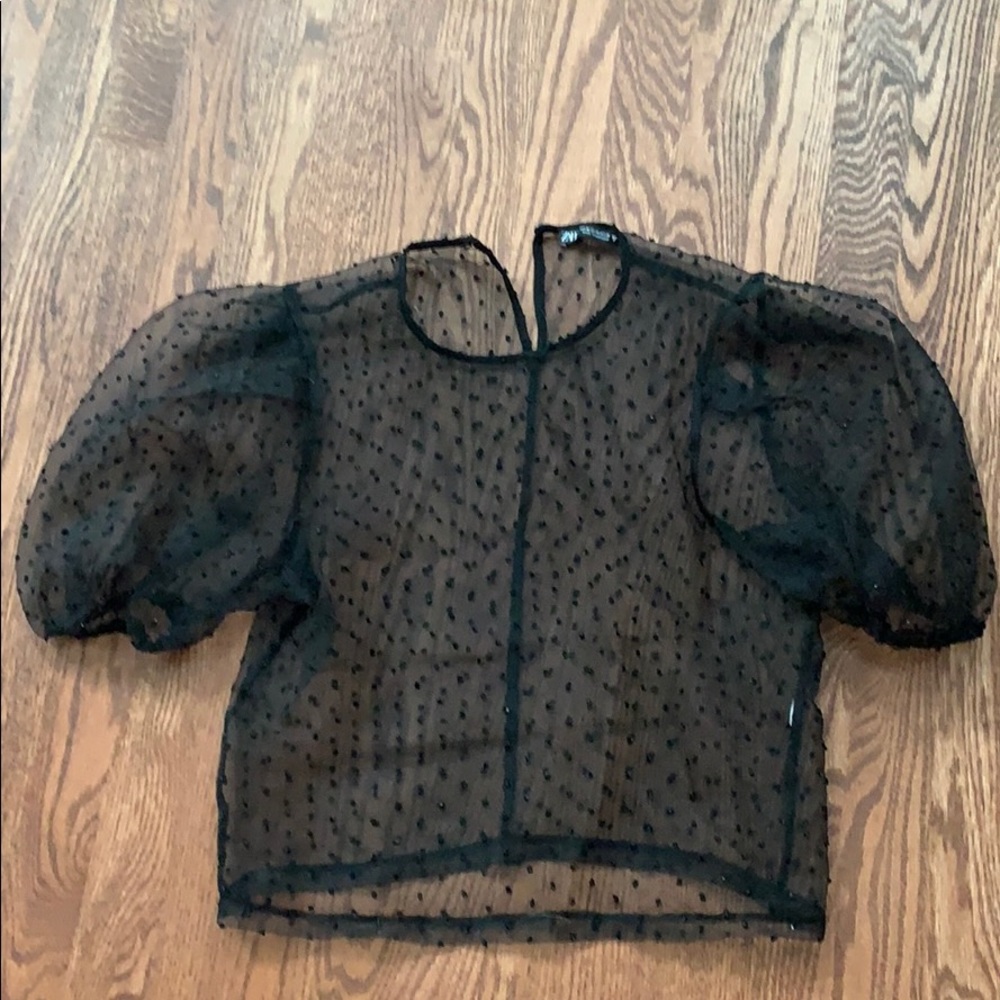 Zara sheer puff sleeve top